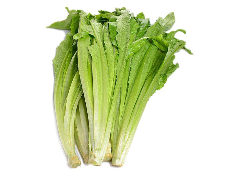 油麥菜