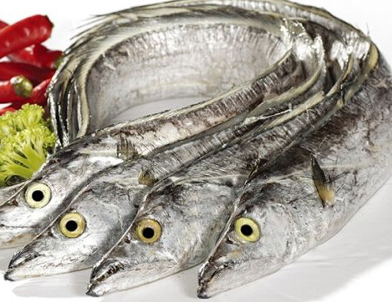 帶魚
