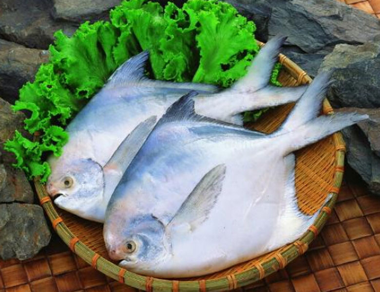 鯧魚