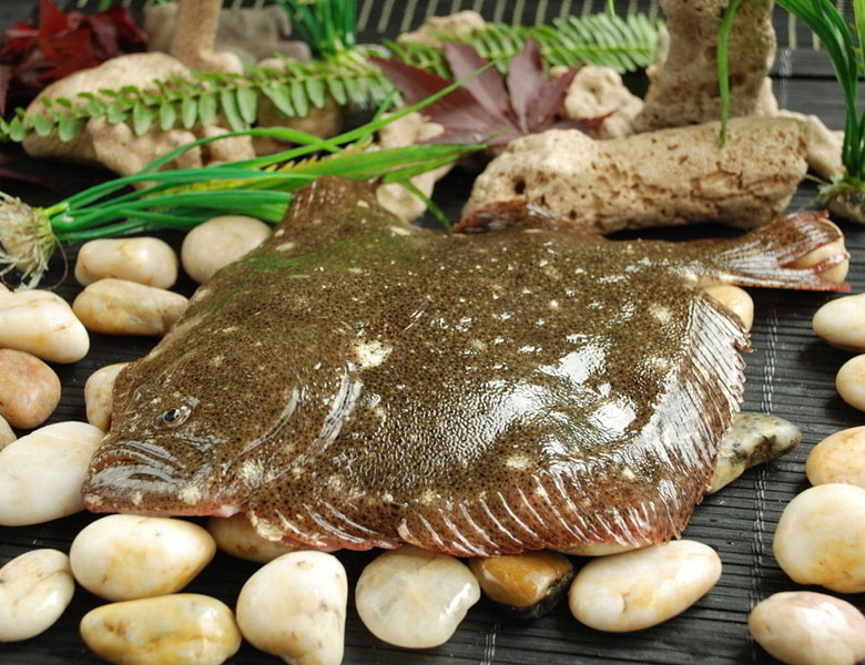 多寶魚