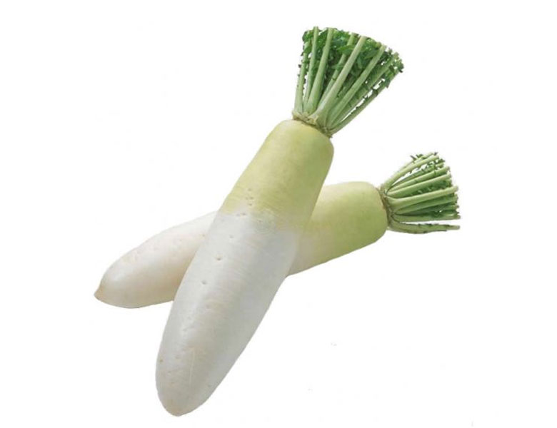 白蘿卜