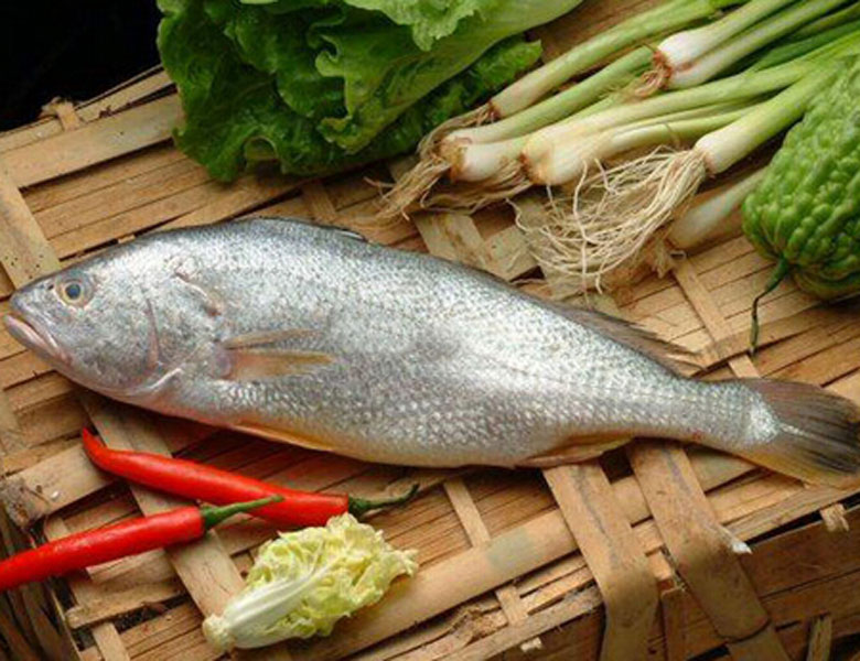 鰳魚