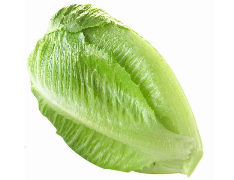 羅馬生菜