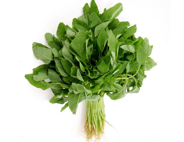 莧菜