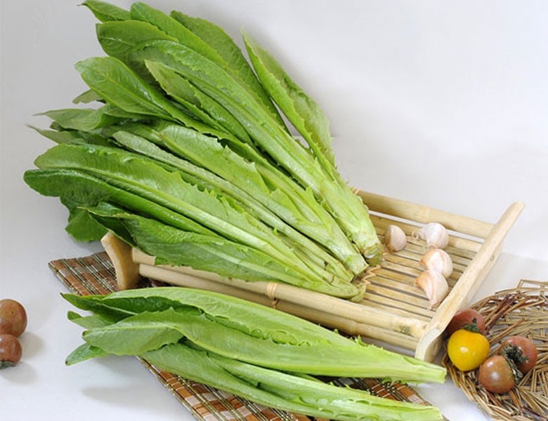 油麥菜