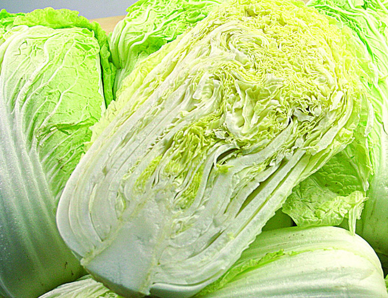 紹菜